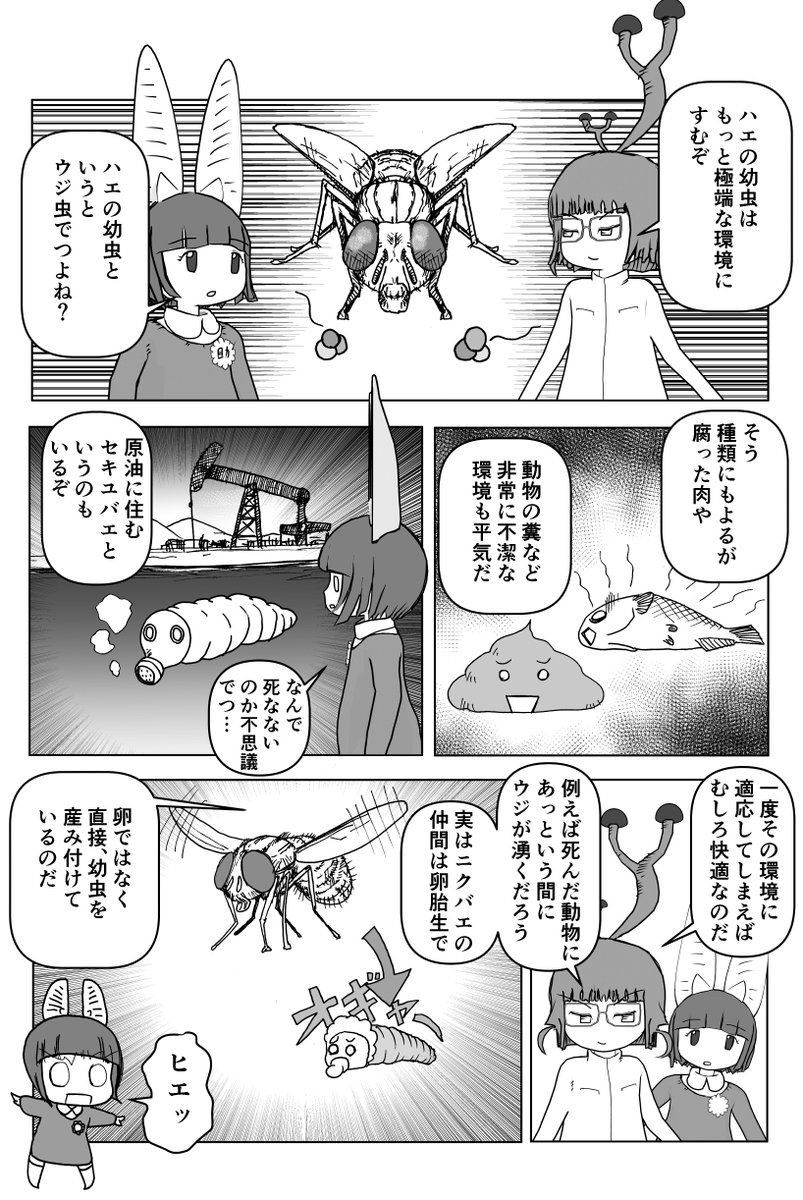 そろそろアイツらが動き出すぞ。ということで再掲(ホントは新作の完成まで間があるからだけど)。
カとハエ 2/2
#クック先生の動物講座 #漫画が読めるハッシュタグ #マンガが読めるハッシュタグ 