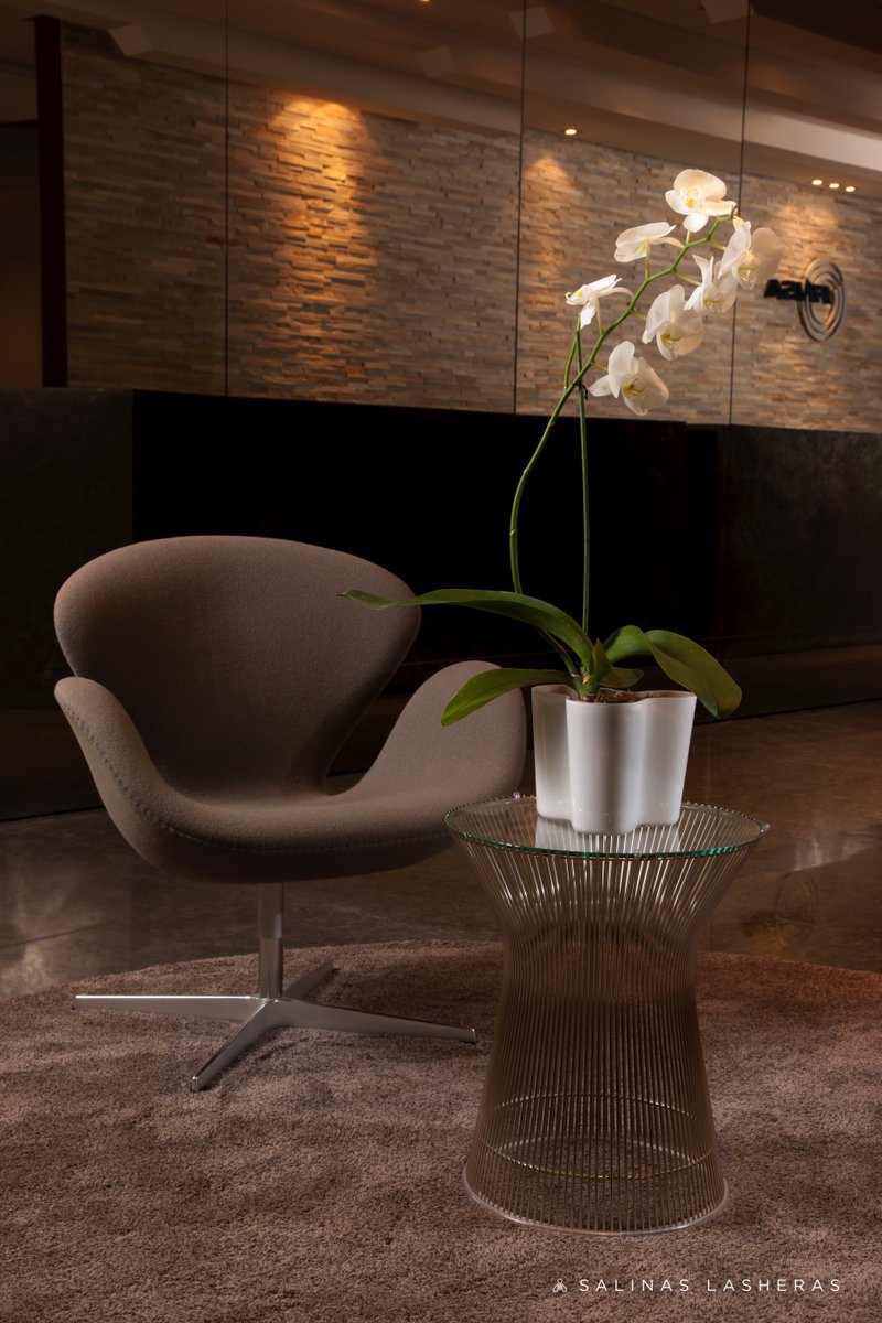 salinaslasheras's tweet image. FINSA’s corporate space remains modern years later, breaking away from cold office aesthetics with a warm, intentional, and enduring approach. Proof that good design stands the test of time.

Timeless design meets functionality. ✨

#CorporateDesign #TimelessInteriors