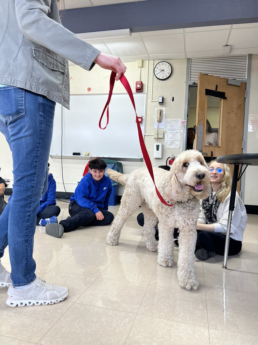 WestBrookMS (@westbrook_param) on Twitter photo Thank you to Bright and Beautiful Therapy Dogs for visiting with us today <a href="/WestBrook_Param/">WestBrookMS</a> ! Ollie and Doug, we enjoyed your company! <a href="/Paramus_Schools/">Paramus Public Schools</a> @paramuspublicschools Thank you to Bright and Beautiful Therapy Dogs for visiting with us today <a href="/WestBrook_Param/">WestBrookMS</a> ! Ollie and Doug, we enjoyed your company! <a href="/Paramus_Schools/">Paramus Public Schools</a> @paramuspublicschools