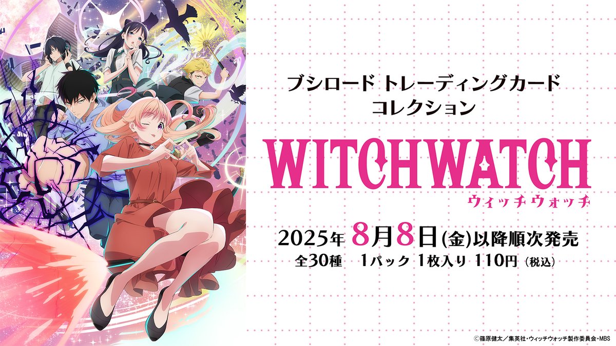 🧙‍♀️・‥────🧹 ブシロード トレーディングカード コレクション