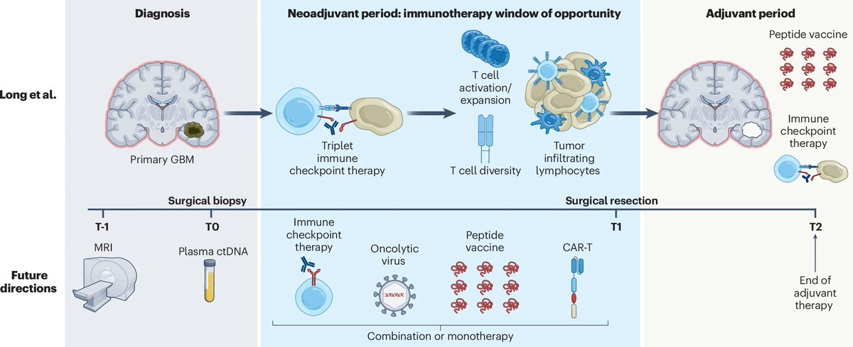 Yosef Ellenbogen (@yosefellenbogen) on Twitter photo <a href="/gelarehzadeh/">gelareh-zadeh</a> and I had the opportunity to work with <a href="/NatureMedicine/">Nature Medicine</a> editors Karen O’Leary and @UlrikeHarjes at to provide a commentary on the potential of neoadjuvant immunotherapy for glioblastoma. 🙏🏼 <a href="/gelarehzadeh/">gelareh-zadeh</a> and I had the opportunity to work with <a href="/NatureMedicine/">Nature Medicine</a> editors Karen O’Leary and @UlrikeHarjes at to provide a commentary on the potential of neoadjuvant immunotherapy for glioblastoma. 🙏🏼