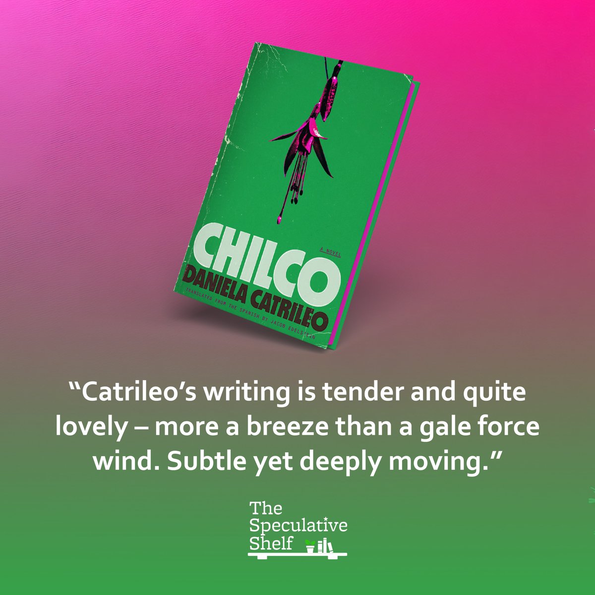 The Speculative Shelf (@specshelf) on Twitter photo Review: Chilco (July 2025) by <a href="/DanielaCatrileo/">Daniela Catrileo</a> via <a href="/FSGOriginals/">FSG Originals</a> 🥀 "Catrileo’s writing is tender and quite lovely – more a breeze than a gale force wind. Subtle yet deeply moving." 🌆 speculativeshelf.com/2025/03/31/rev… Review: Chilco (July 2025) by <a href="/DanielaCatrileo/">Daniela Catrileo</a> via <a href="/FSGOriginals/">FSG Originals</a> 🥀 "Catrileo’s writing is tender and quite lovely – more a breeze than a gale force wind. Subtle yet deeply moving." 🌆 speculativeshelf.com/2025/03/31/rev…