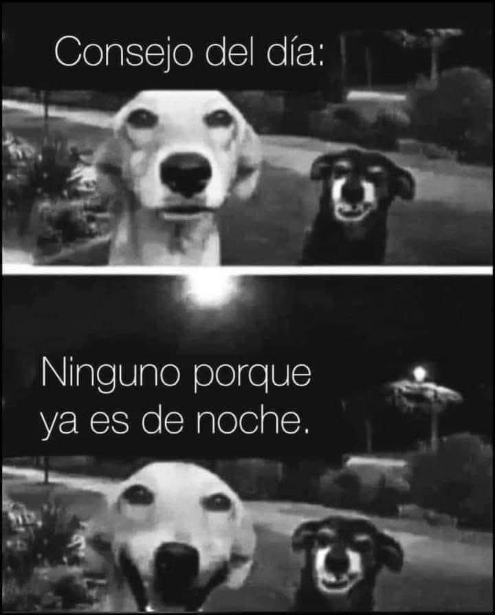 🇲🇽 México Mágico ✨ tweet media