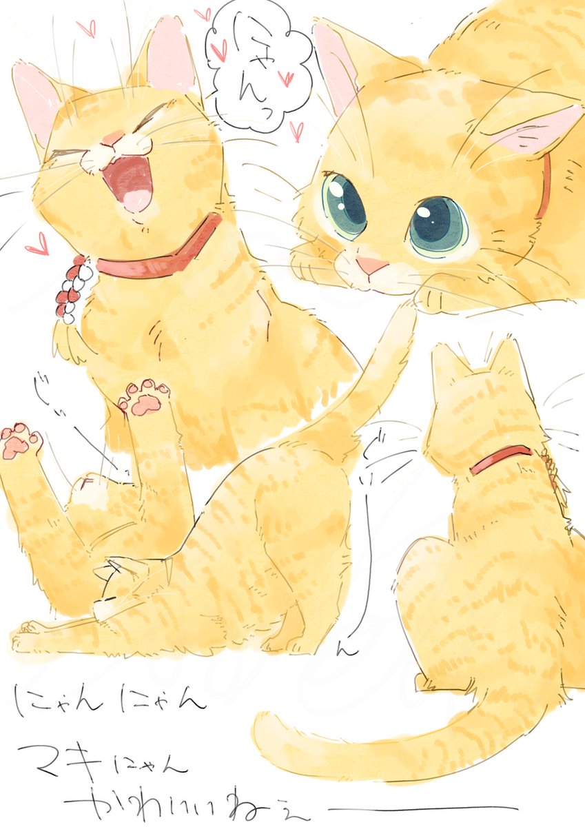 もふもふもふもふもふもふもふもふもふもふもふ 