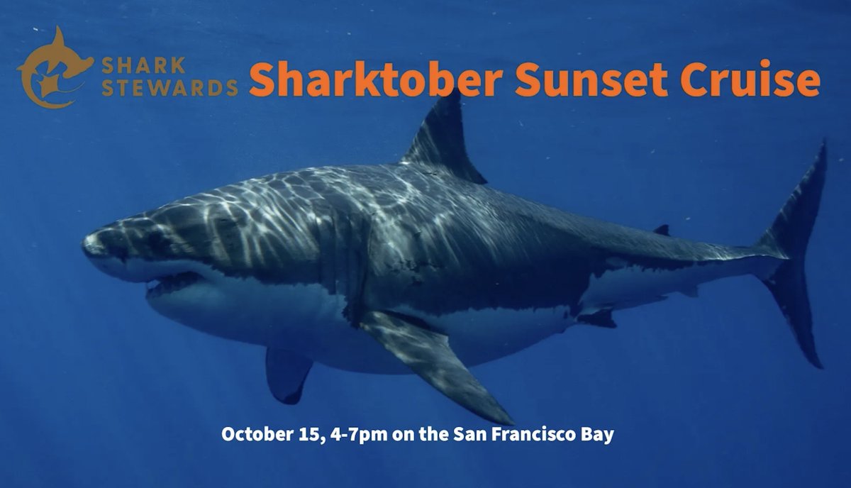 Honoring Women in Shark Science - mailchi.mp/sharkstewards/…