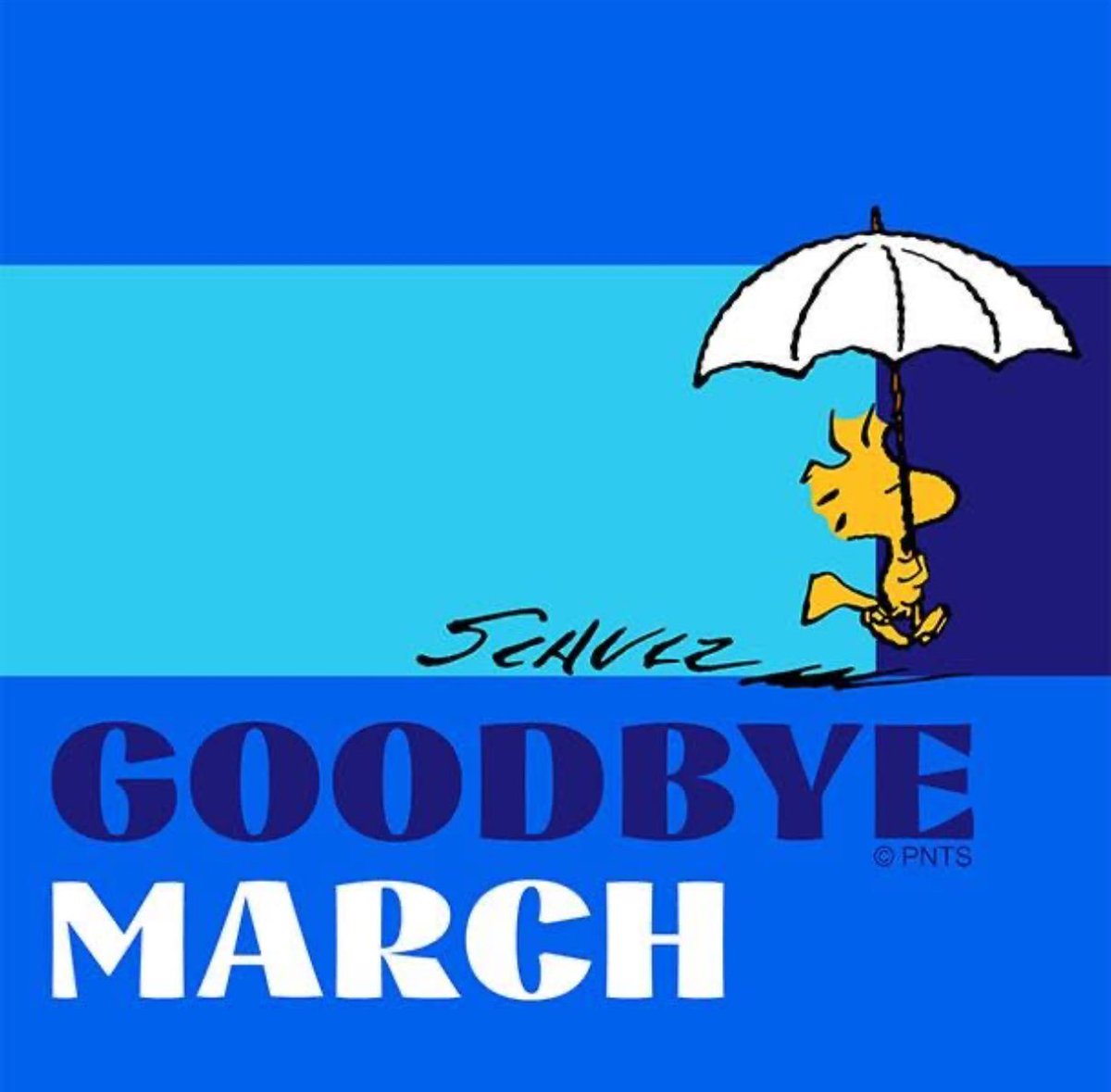 Charlie Brown Fan Account (@peanuts_4fans) on Twitter photo Bye, March! #Peanuts Bye, March! #Peanuts