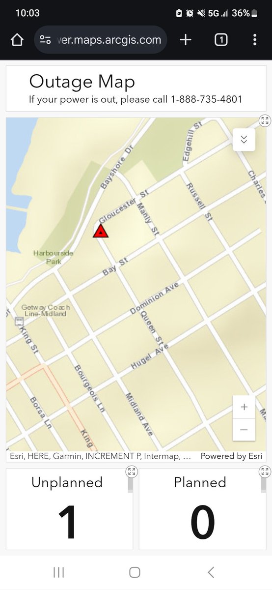 Eli David tweet media