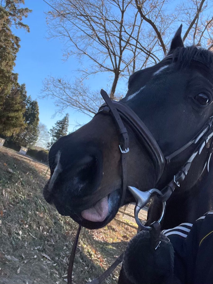 〖茨城大学乗馬同好会〗
<a href="/uma_fromnts/">茨城大学乗馬同好会</a> 
初心者・経験者不問！！最高の大学生活をかわいい馬たちとともに過ごそう！皆さんに会えるのを楽しみにしております🐎

#春から茨大
#茨大新歓祭2025