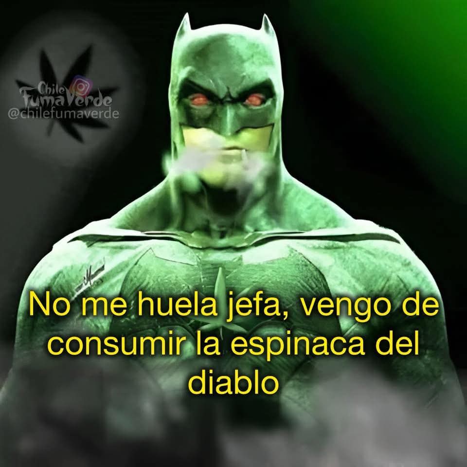 KushStation1's tweet image. 