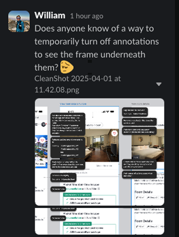 Lua Cortes tweet media