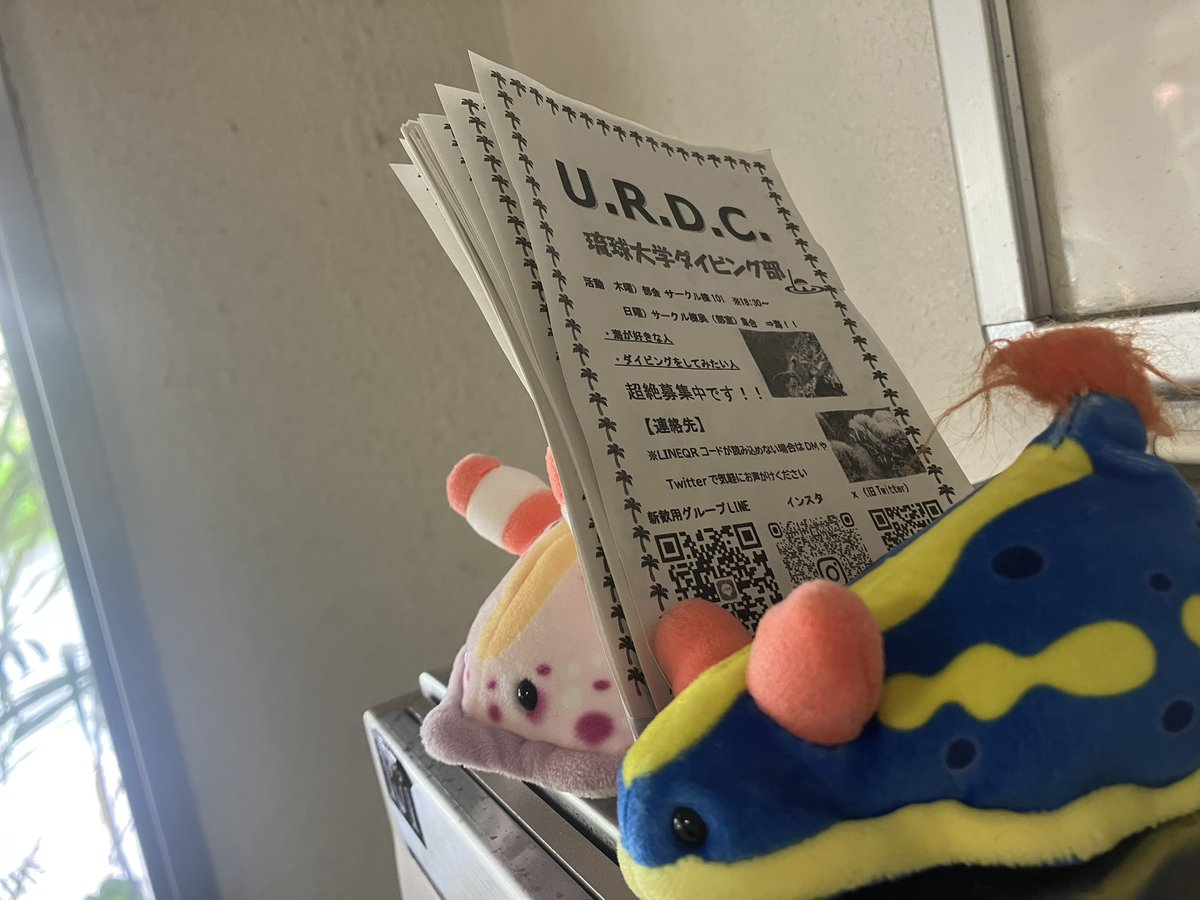 urdc_official's tweet photo. こんにちは！琉球大学ダイビング部U.R.D.Cです。
寮生の方は今日から入寮が始まりますね。4/3までビラを配っておりますので、手続きの合間にご覧いただけると嬉しいです。

#春から琉大
#ダイビング部 https://t.co/tBYVwwStmd