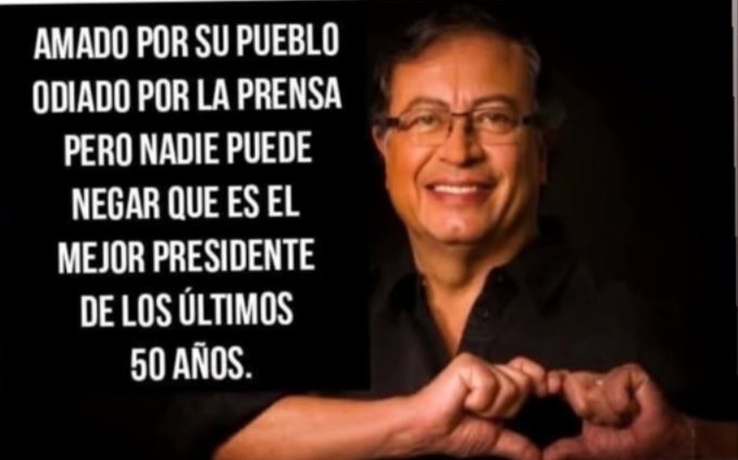 Orlando Curioso tweet media