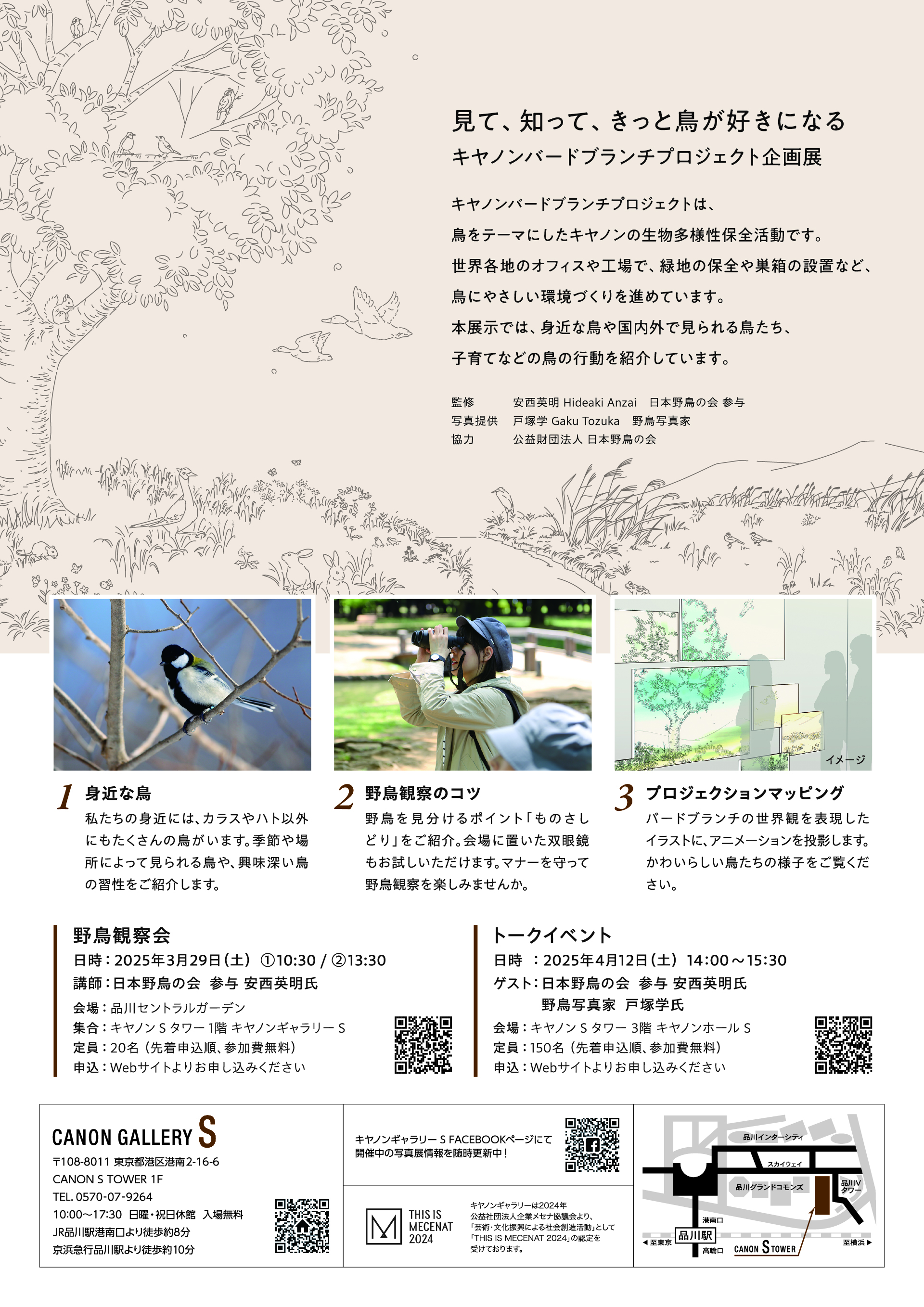 ☆新品☆鳥展 国立科学博物館 期間限定 野鳥カード セット