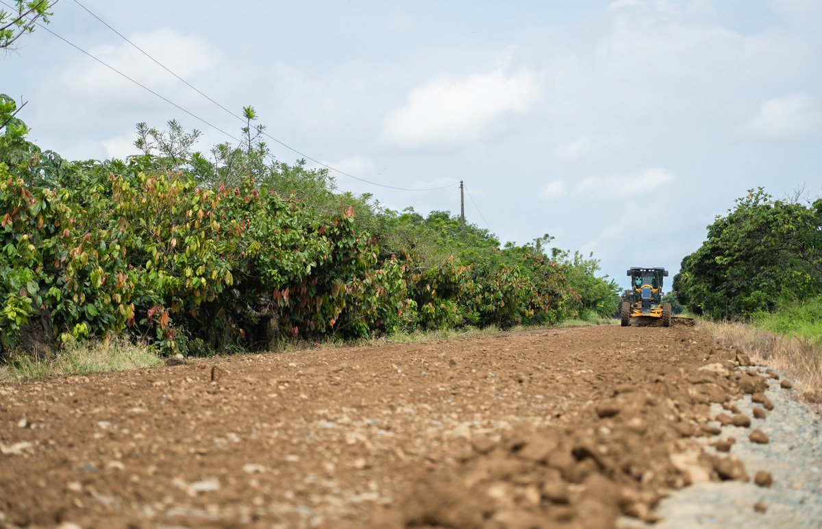 alcaldiabbhy's tweet image. Realizamos trabajos de #Relastrado y #Compactación en el sector Valle Verde, #ParroquiaFebresCordero. Mejorando así la vía que une a otros puntos como: #LaGuaija y #Cedegé. 

#AlcaldíaCiudadanaDeBabahoyo
#ObrasQueTransformanBabahoyo