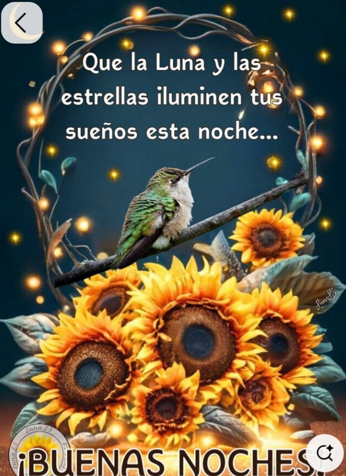 Que tengan  hermosos sueños 
y un bendecido descanso,🙏
            hasta mañana 🙋‍♀️