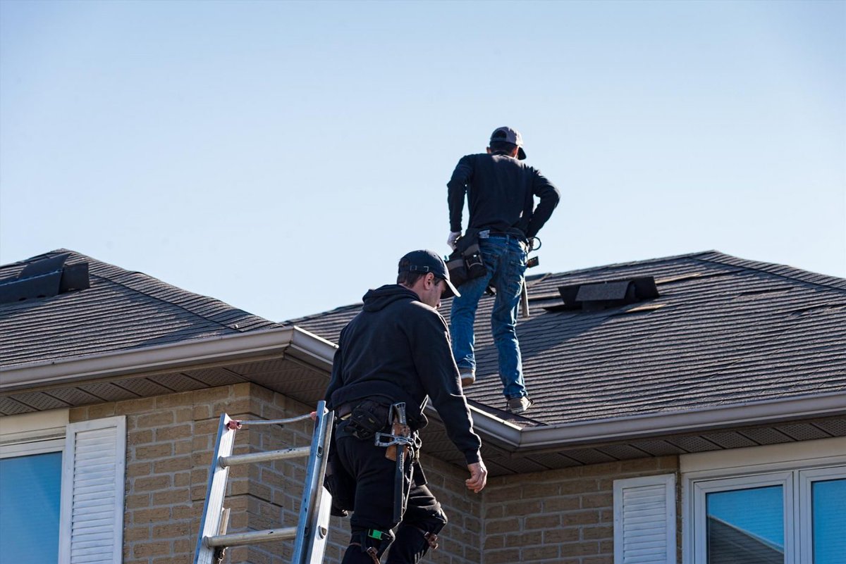 RenaissanceRest's tweet photo. Need a new roof? We specialize in asphalt, slate, clay tile, wood cedar, and flat roofing services. Put our team to work for you now! https://t.co/95D1GTAA0F

#Bathroom #Detroit #Kitchen #Restoration #Roofing #Birmingham #HomeAdditions #Home #Restore #Repair https://t.co/k2Gr3RH2pB