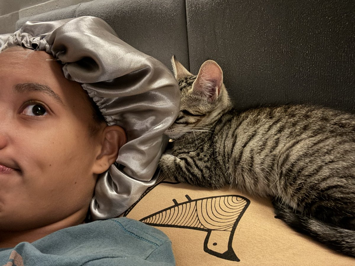 esse virou o lugar do meu gato de dormir e não tem absolutamente nada que eu possa fazer quanto a isso