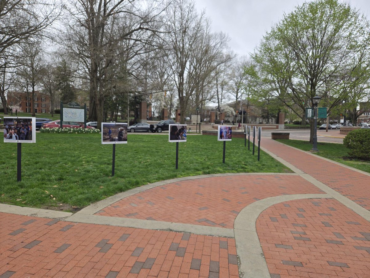 BobcatsDiscover tweet media