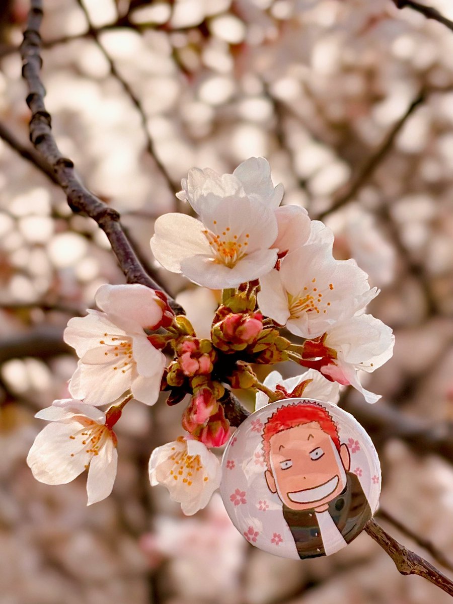 댕냥쓰 tweet media