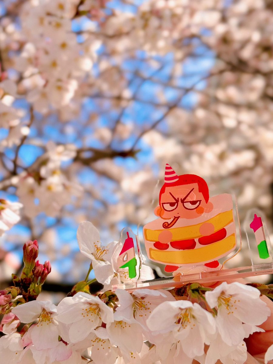 댕냥쓰 tweet media