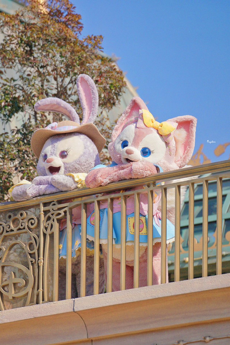 Bagel624's tweet photo. 🌷🍀

#Linabell  
#StellaLou 
#Disneyshanghai
#HappyAprilFoolsDay
#만우절 https://t.co/kfJUmjt7R6