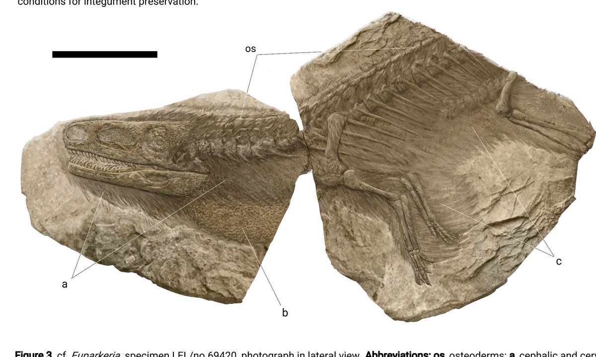 Literally Miguel 🇻🇪💥🔫 tweet media