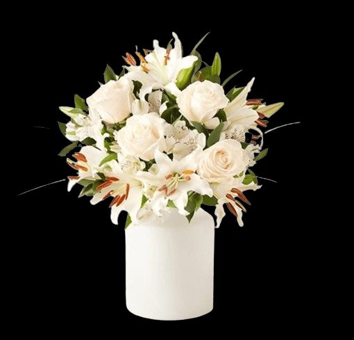 El arreglo floral Paz es una equilibrada combinación de rosas, lilies y un toque de alstroemerias con riskus.

Medidas: 30 cm de altura por 20 de ancho y 20 cm de profundidad
magenta.style/arreglos-flora…