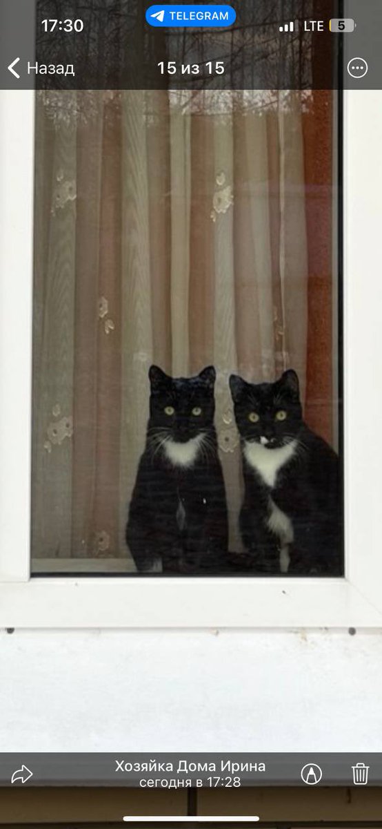 Доброе утро