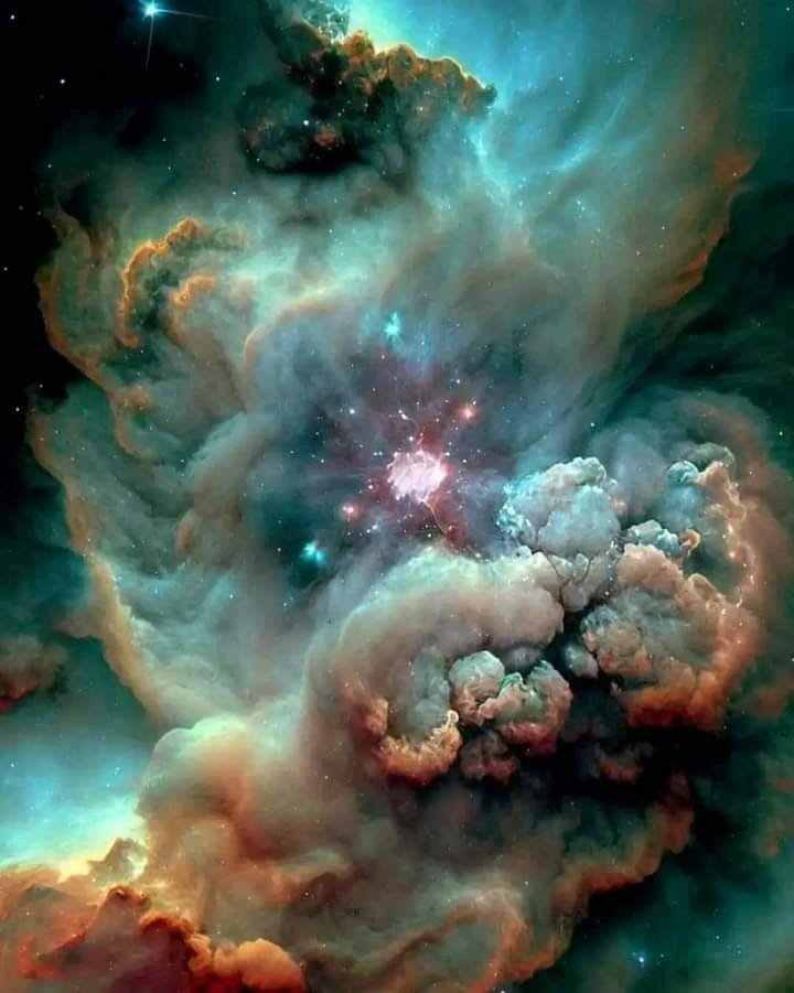 forallcurious's tweet image. Stardust 💫