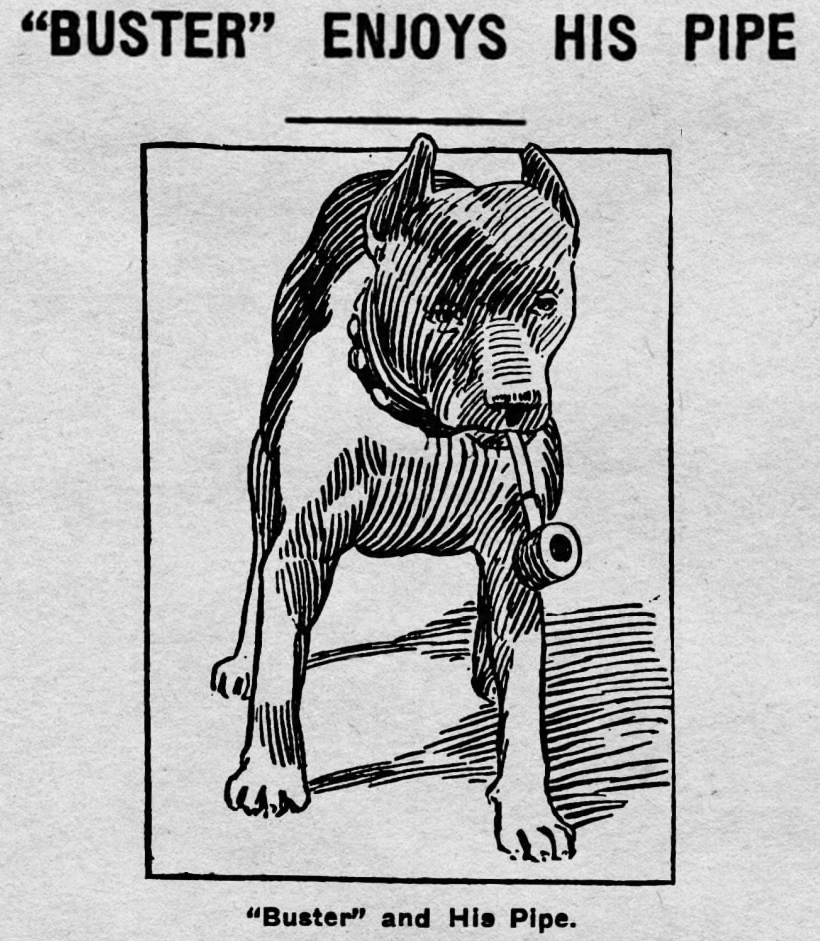 Yesterday's Print tweet media