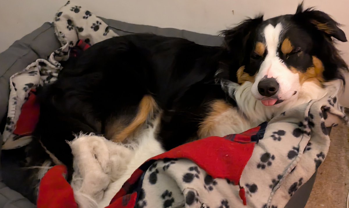 💔Ex Minister4BanditsWhims💔Now Broc's Goffar tweet media