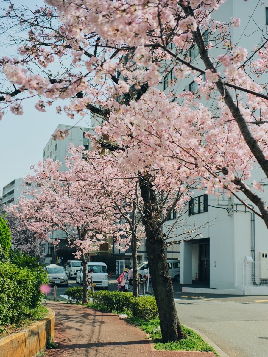 明るい未来であって欲しい
