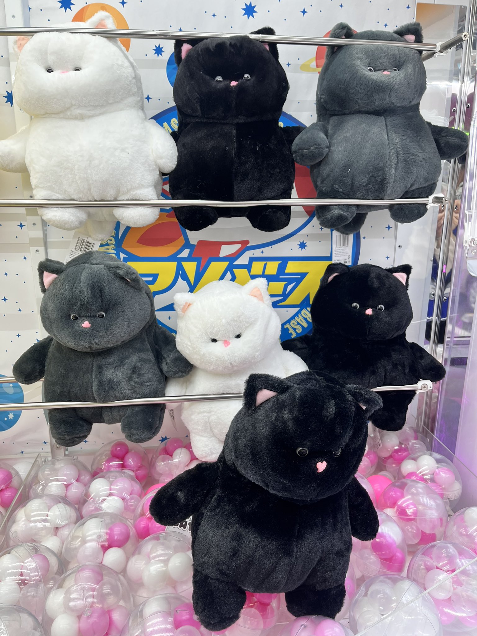 FAT CAT ふんわりぬいぐるみ ねこぬいぐるみ 3種セット