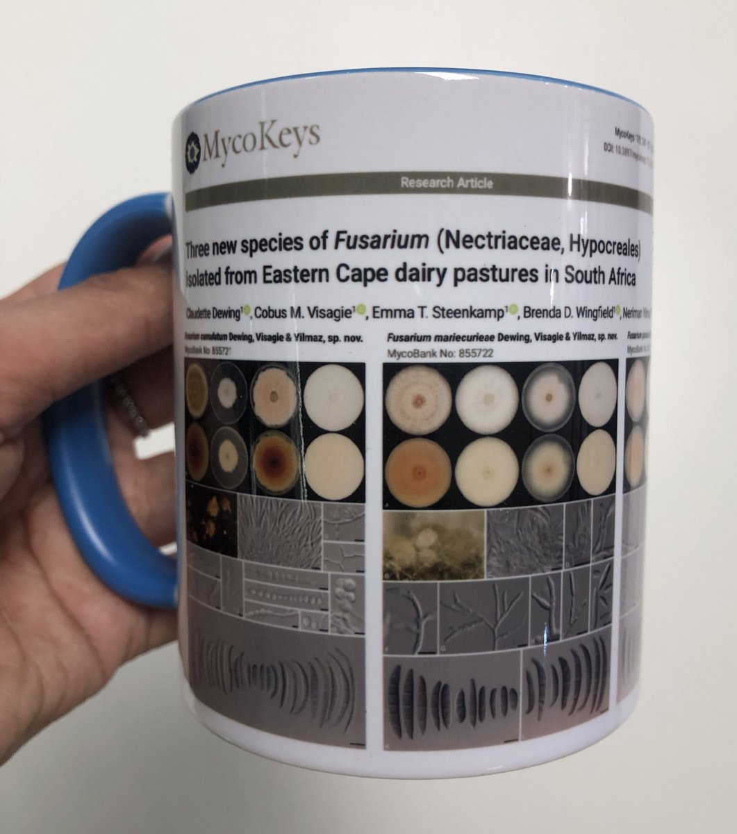 Claudette Dewing (@cdewing47) on Twitter photo Celebrating with the Applied Mycology group <a href="/Fabiteam1/">FABI</a> - our first PhD publication! 🎉 We described 3 new Fusarium species 🧬🍄 <a href="/MycoKeys/">MycoKeys</a> mycokeys.pensoft.net/article/148914…
<a href="/mycobiomics/">Mycobiomics</a>
Also, how amazing is this gift 🤩 <a href="/CobusVisagie2/">Cobus Visagie</a> <a href="/nerimanyilmaz82/">Neriman Yilmaz 🧫🔬🧬</a> Celebrating with the Applied Mycology group <a href="/Fabiteam1/">FABI</a> - our first PhD publication! 🎉 We described 3 new Fusarium species 🧬🍄 <a href="/MycoKeys/">MycoKeys</a> mycokeys.pensoft.net/article/148914…
<a href="/mycobiomics/">Mycobiomics</a>
Also, how amazing is this gift 🤩 <a href="/CobusVisagie2/">Cobus Visagie</a> <a href="/nerimanyilmaz82/">Neriman Yilmaz 🧫🔬🧬</a>