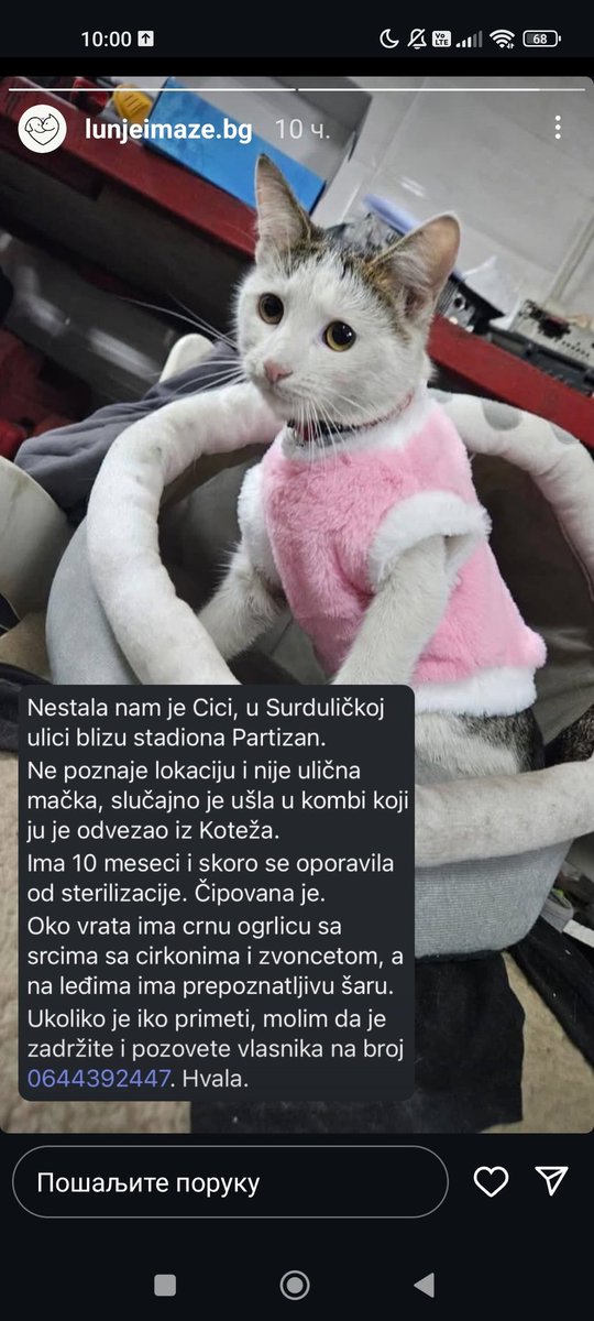 sanjazivi's tweet photo. https://t.co/K28aGbsHKb