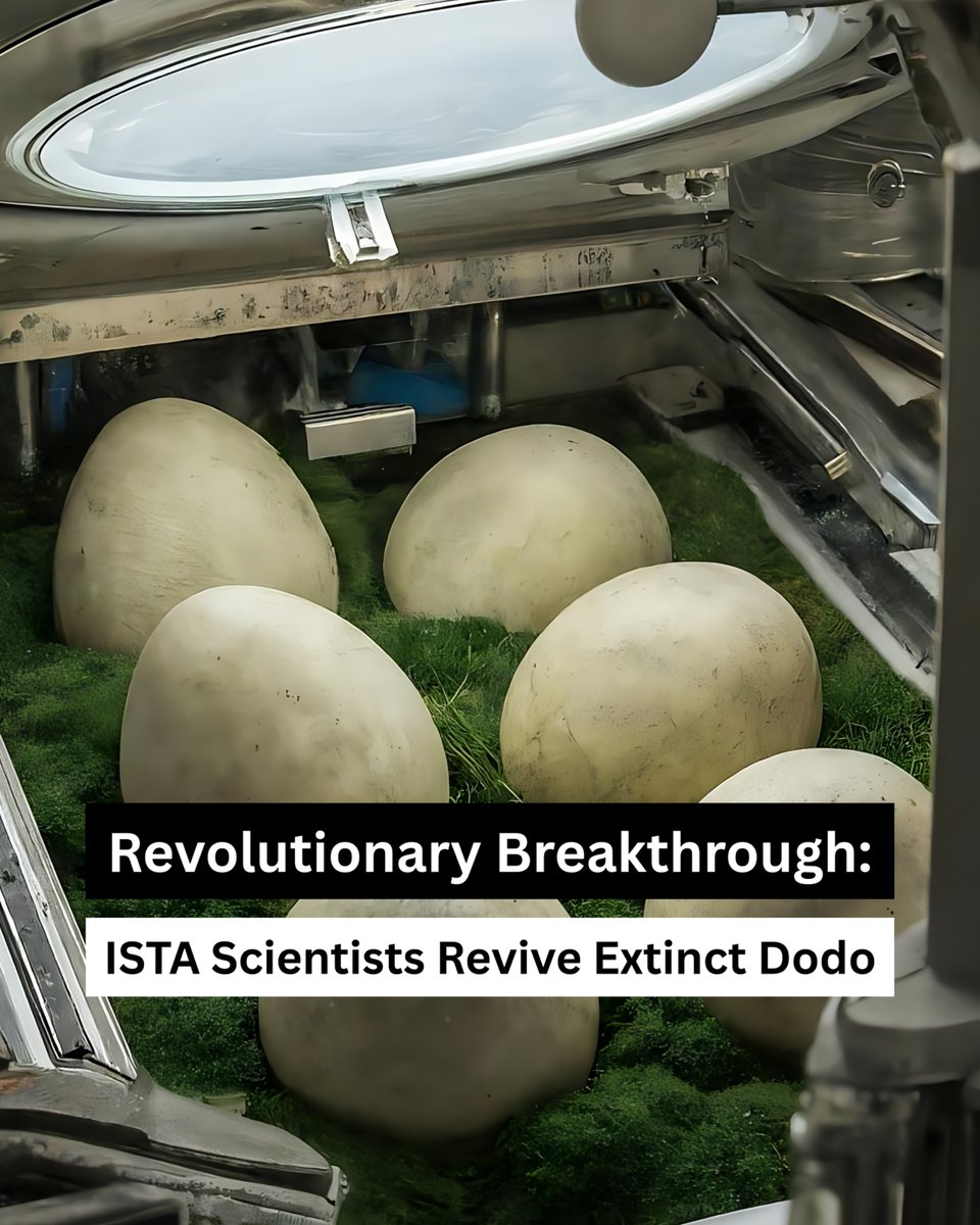 ISTAustria's tweet image. The Dodo is Back: Scientists Revived Bird Species after 300 Years of Extinction
A multidisciplinary team from ISTA redefined the line between life and death.
Read the full story: bit.ly/3FNqFxv
#AprilFools #Dodo