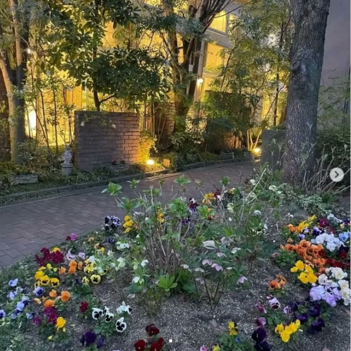 Noaki Watanabe (@naokiw23621) on Twitter photo 