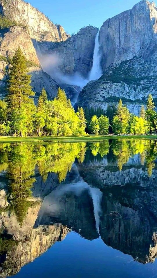 LUSH ENVIRONMENT (@nature_views5) on Twitter photo 