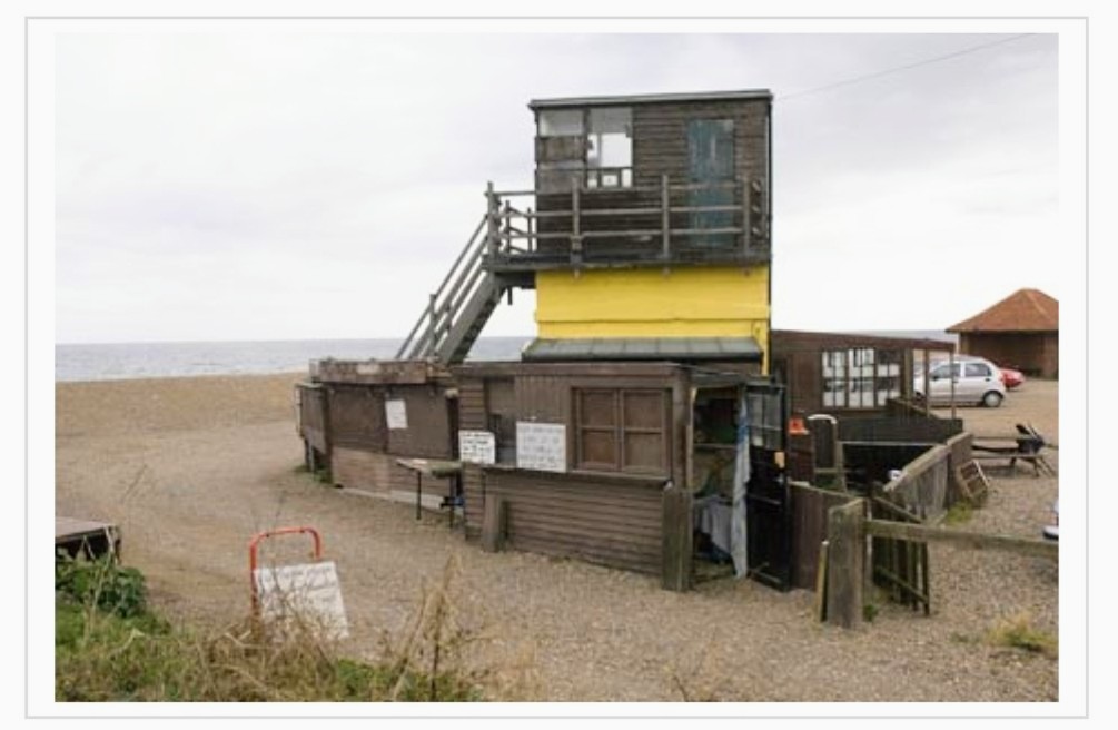 The White Falcon 💙 tweet media