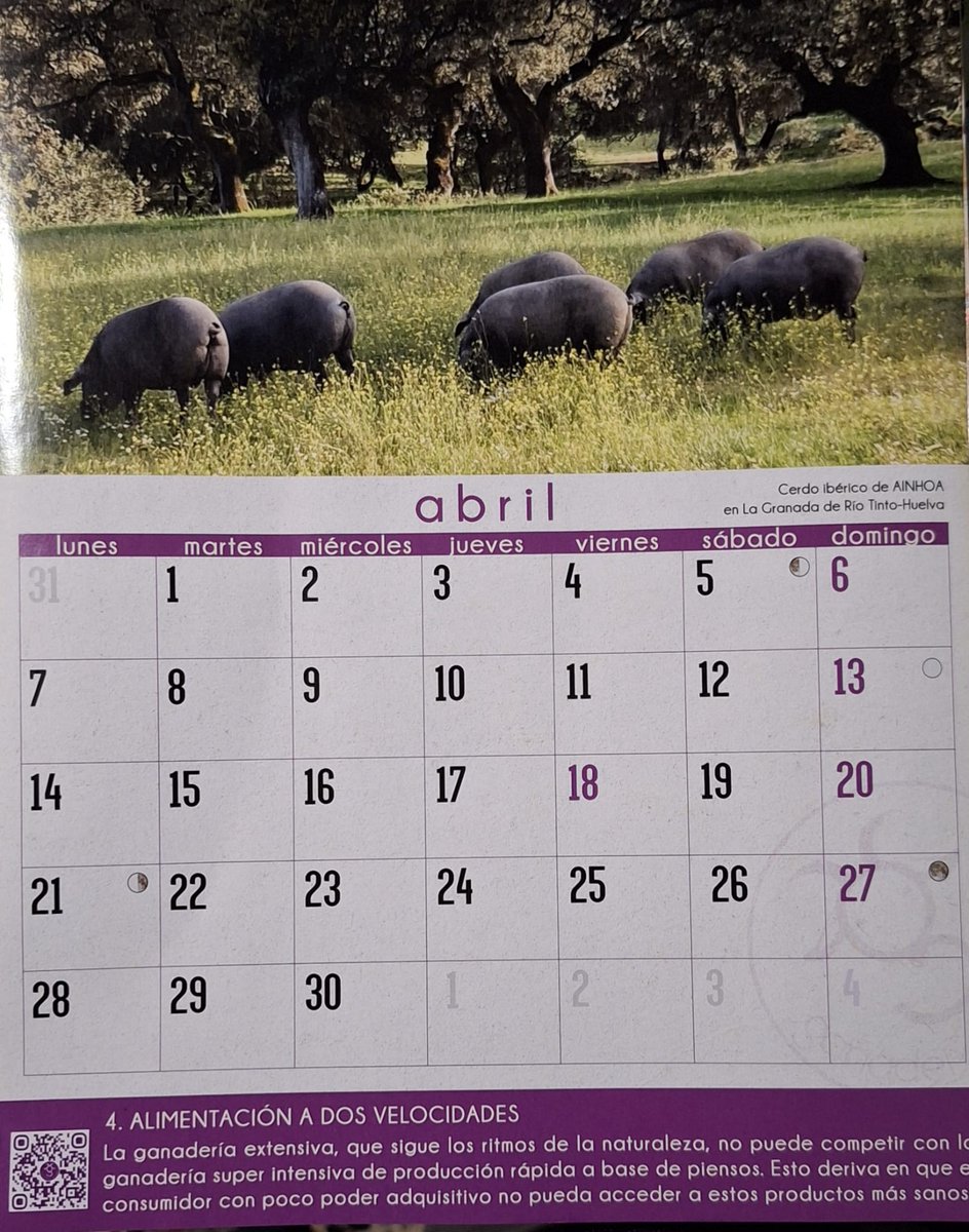 GanaderasenRed tweet media