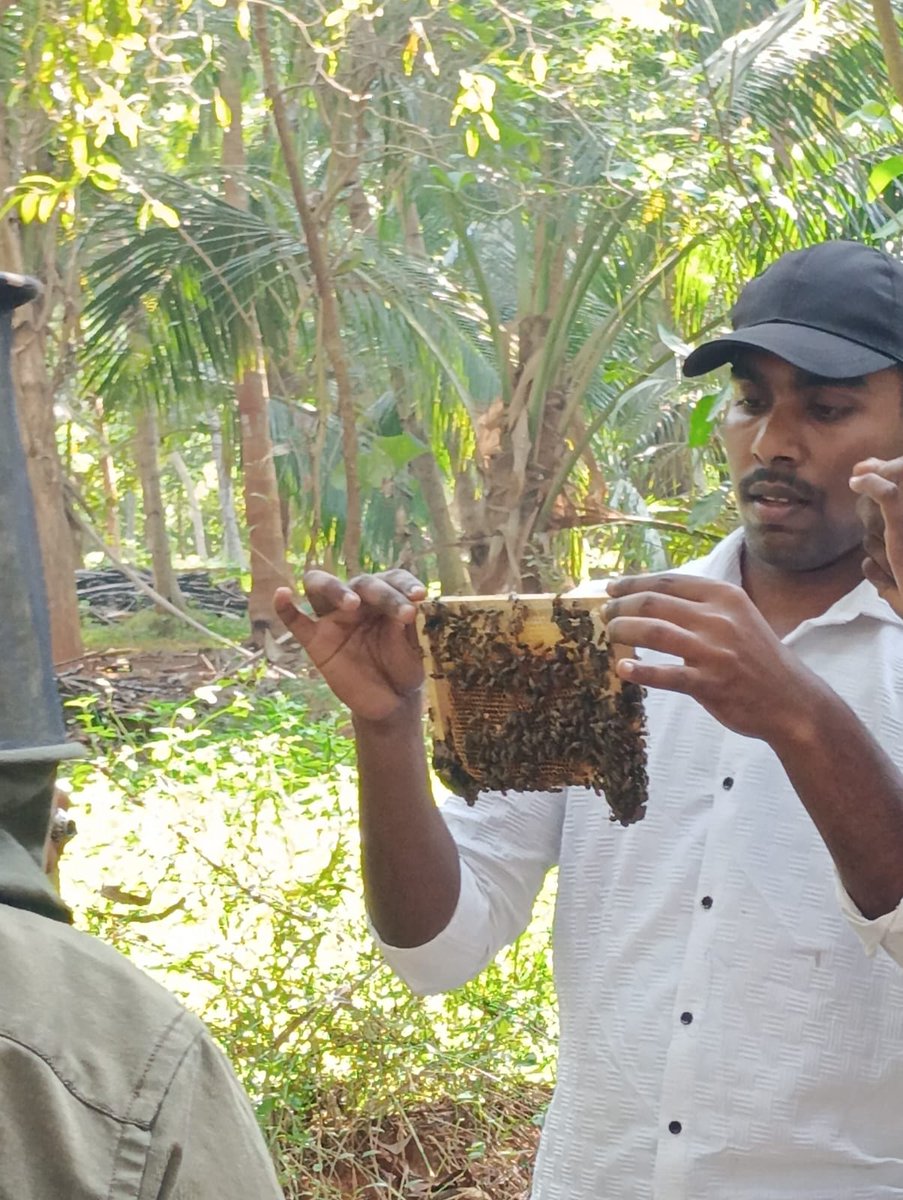 Last month, the Bio Village Resource Centre under the <a href="/mssrf/">MSSRF</a> in Puducherry hosted key training initiatives to empower farmers &amp; SHG members:

"Honey Bees: Hidden Horticulture Heroes" (3rd-8th March) and CABI Digital Tools for Strengthening Agricultural Advisories (20th March)