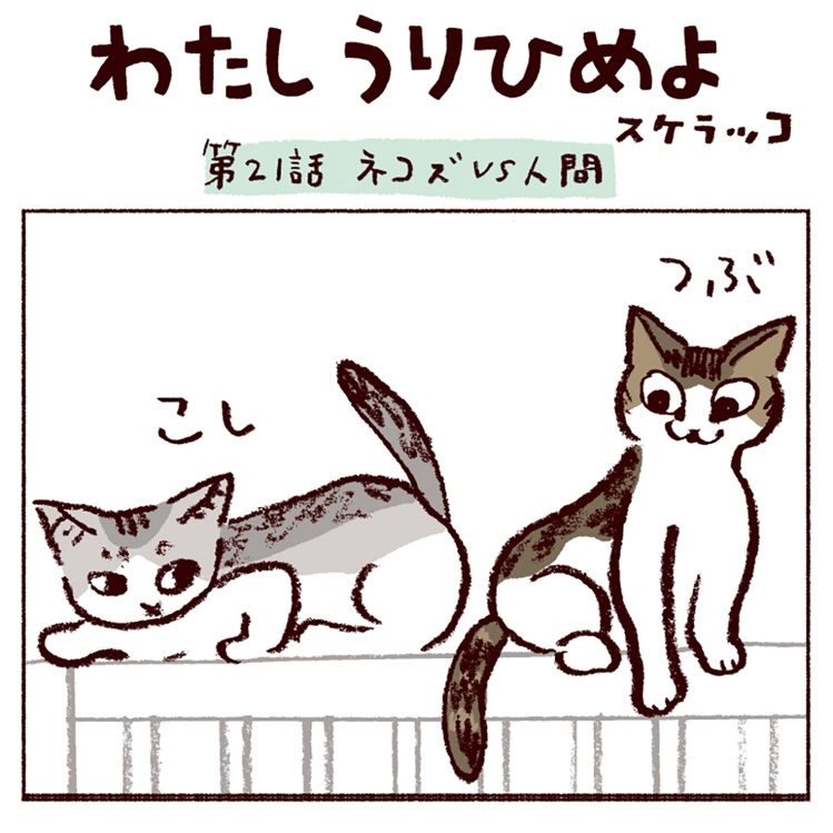 『わたしうりひめよ』
最新話公開されました。
https://t.co/OJWoWTmK0I 
