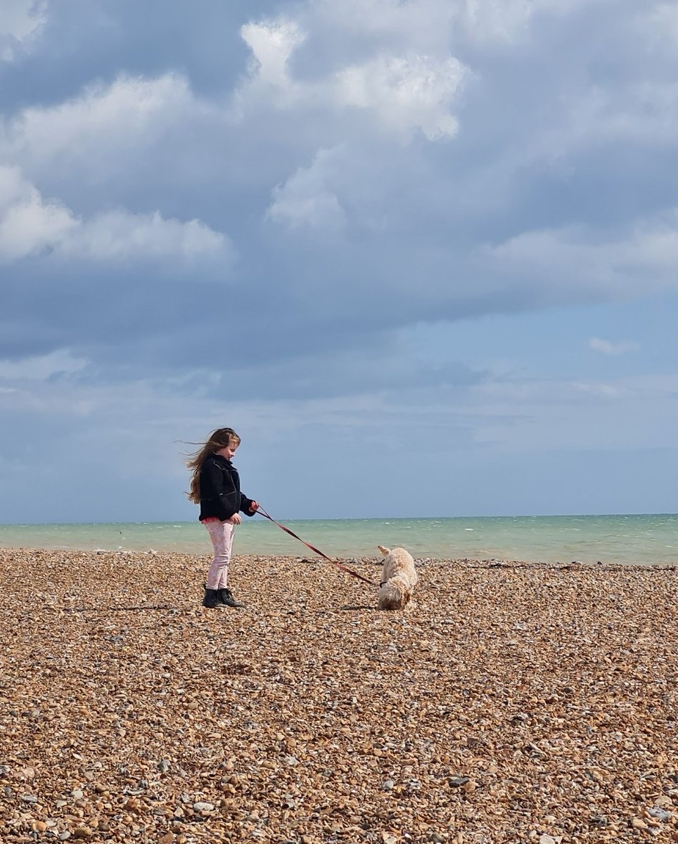 Good morning 🌞☺️🌞 

Taco Tuesday is here 

Another day to grind and succeed 

Let's get it