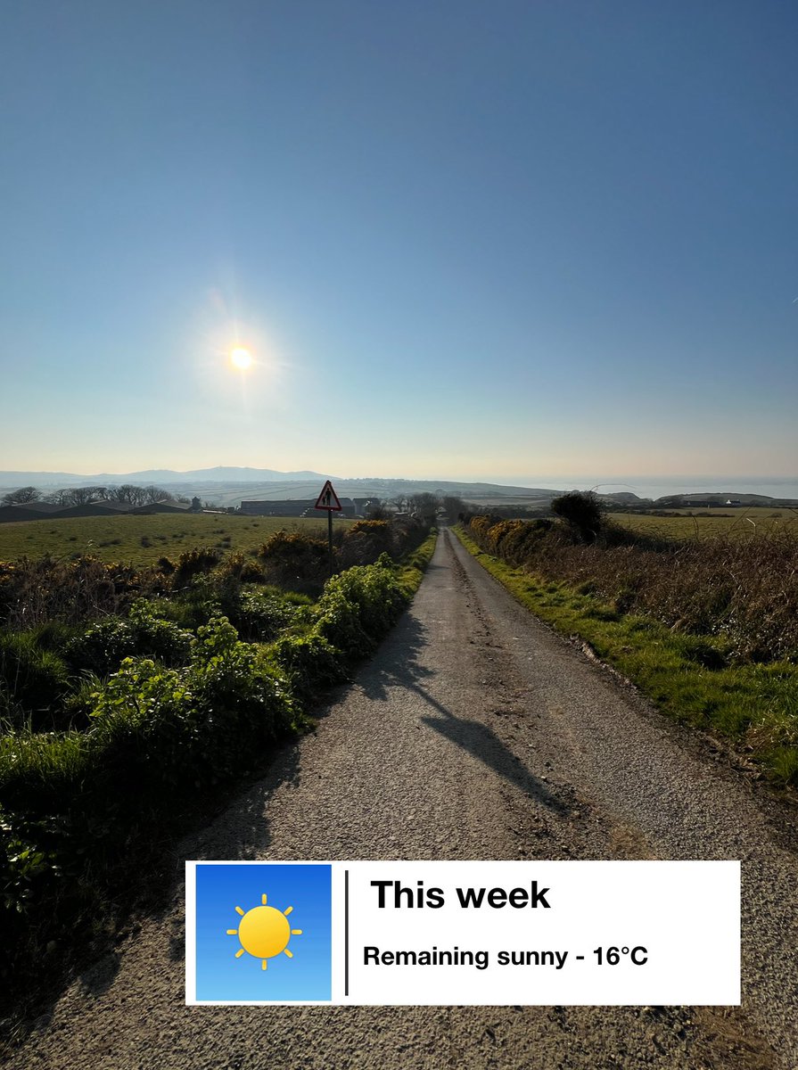 manx_colby tweet media