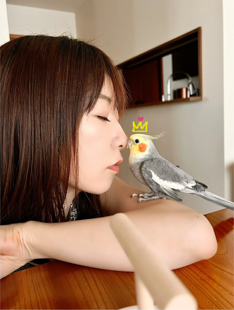 ま*】様 シマリスおかめインコ オカメとおかめ #謹賀新年 #happynewyear #オカメインコ