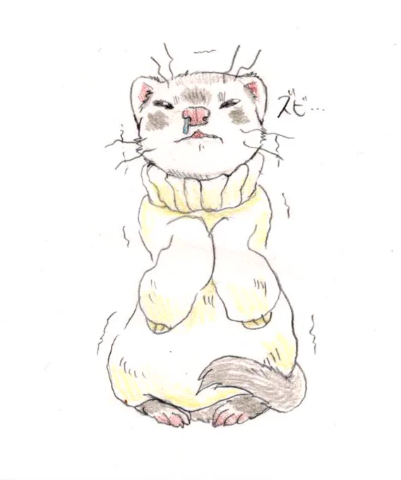 それにしても寒すぎないか…