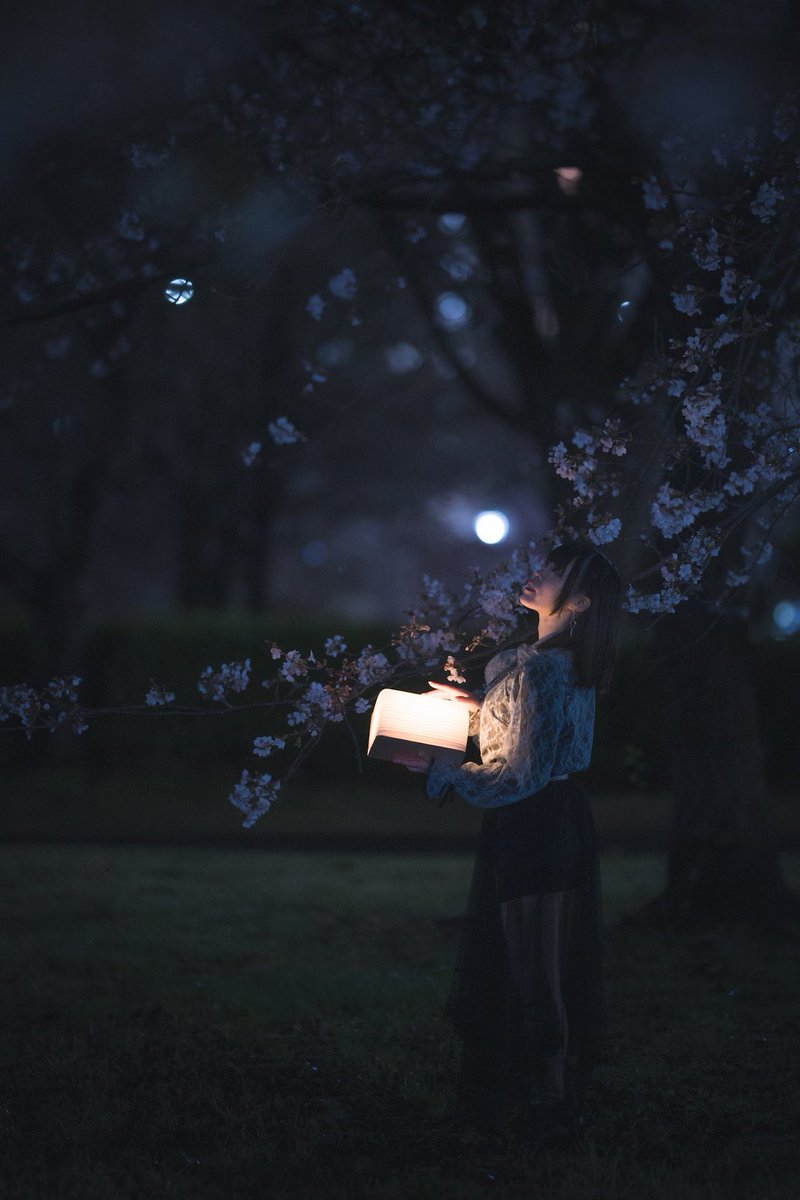 月明かりに 照らされて 静かな夜に
.
photo＊<a href="/Pflat6/">p</a>
.
#portrait
#桜