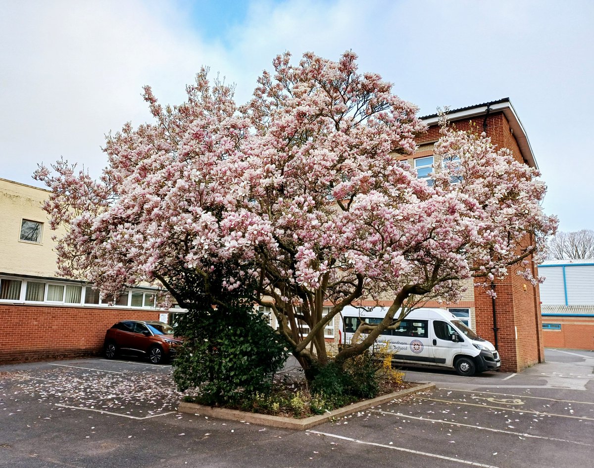 Kesteven & Grantham Girls' School tweet media