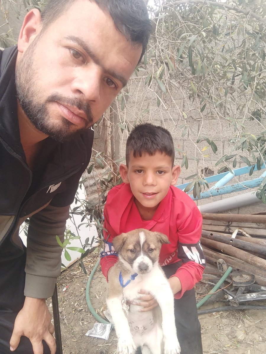 Palestinedaily1's tweet photo. PLEASE DON'T SKIP ME :((

My account has been restricted, 
So, my GFM doesn't appear to everyone! 
Please support my family gfm !!
by sharing and quoting and donating 💔🙏🏻🚨

Please, Leave a comment 🇵🇸 or 🍉https://t.co/hHe6KsMb7Y https://t.co/JgZ9kyHzZ6
