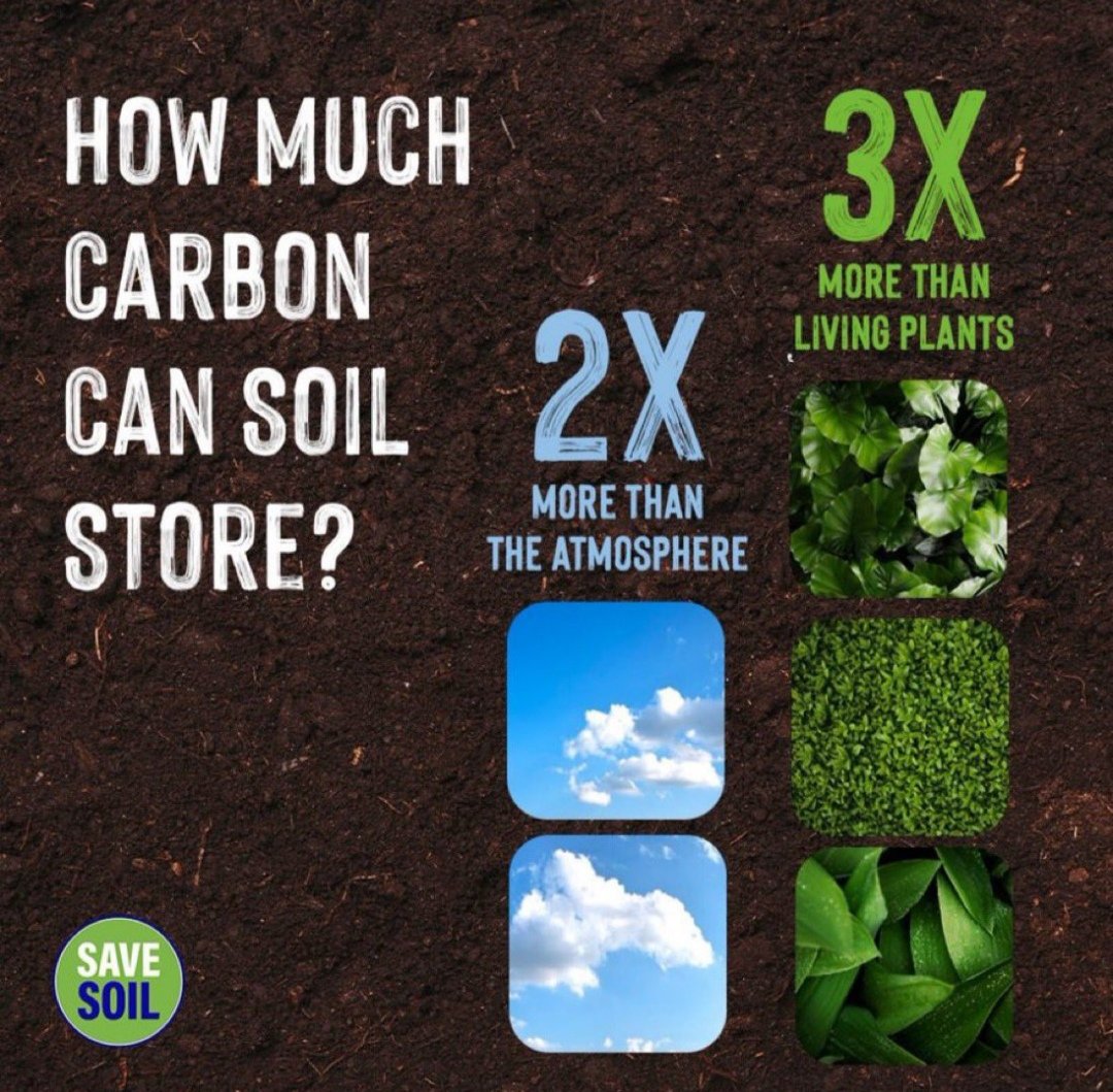 ElsaMessilaElsa's tweet photo. Restoring soil health is the solution.
Action now
#SaveSoil
#ConsciousPlanet https://t.co/1WJkBqcNbm
